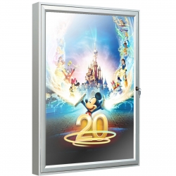 Informatievitrine A2 75 x 55 x 2,9 cm