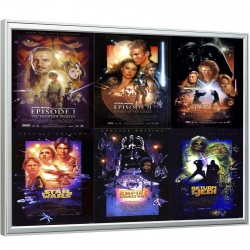 Informatie vitrine A0 100 x 135 x 7,5 cm