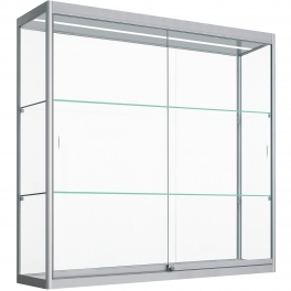 Hang Vitrine met ledstrips 80x100x35