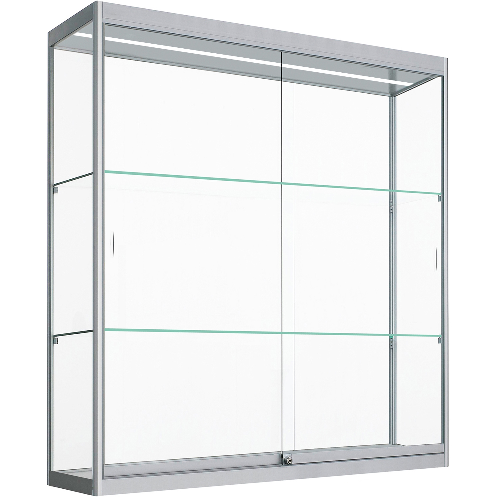 Oxtao Multifunctionele kast, 110,5 x 35 x 160 cm, vitrine met glazen deur en led