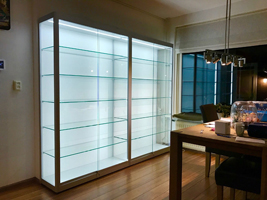 LED-Vitrinekast