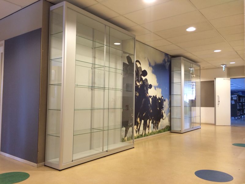 School Vitrinekast