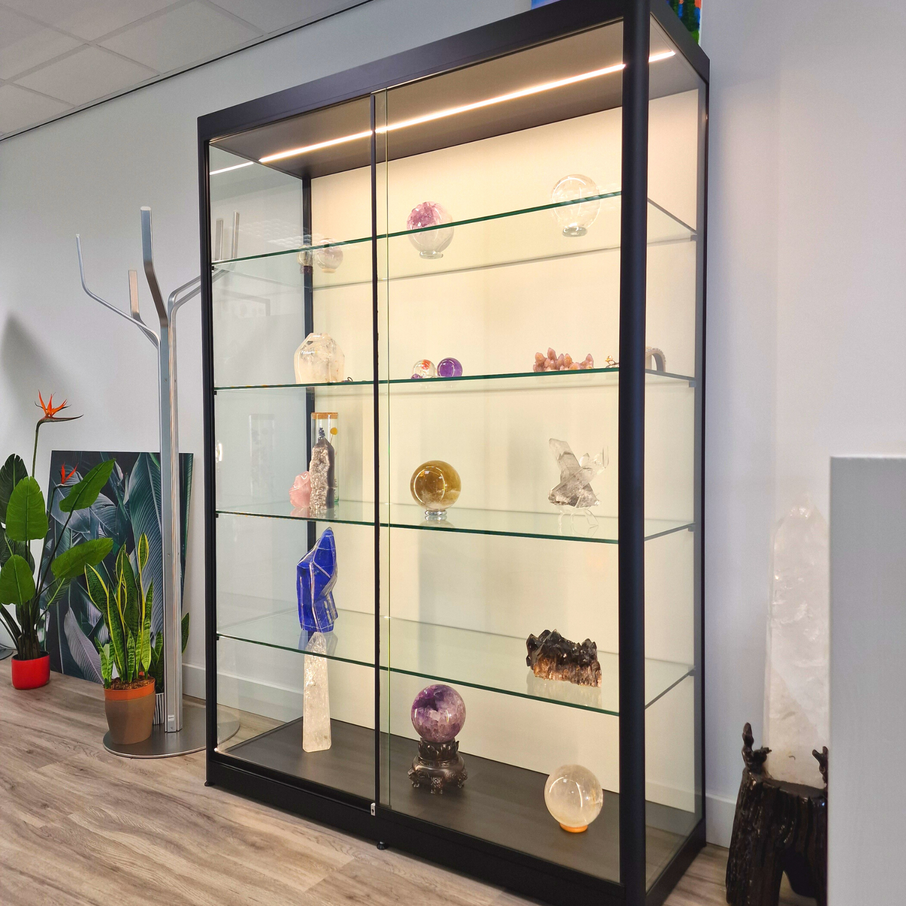 Met andere bands Modernisering fluit Vitrinekast Glas | Led Vitrinekasten | Vitrine - vitrinemasters.com