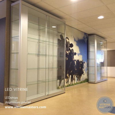 Maatwerkvitrine met vakken