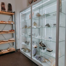 Vitrine led breda