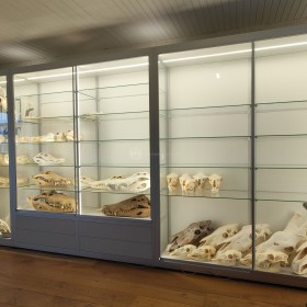 Vitrine led schedels