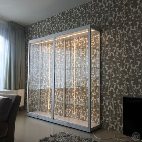 Vitrine met led