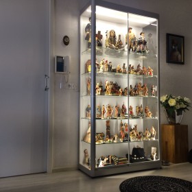 Vitrinekast voor winkel
