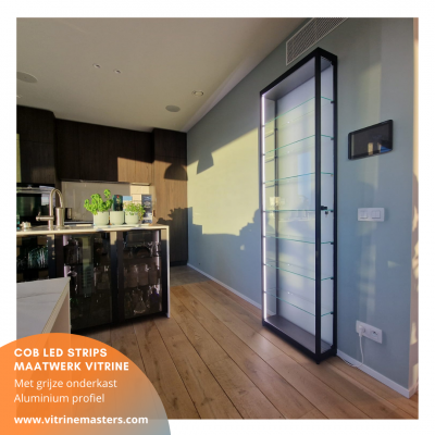 Cob led vitrine (6)